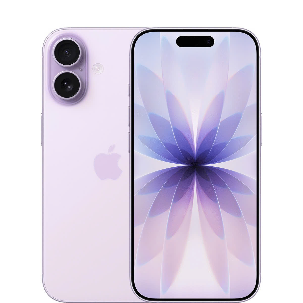 iphone 17 tím oải hương