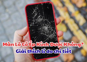 Màn Lô Có Ép Kính Được Không? Giải thích lí do chi tiết